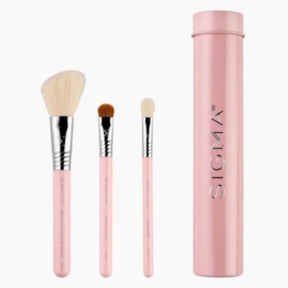 BNWOT Sigma - ESSENTIAL TRIO BRUSH SET - PINK